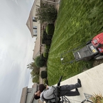 Rehaul yard clean up