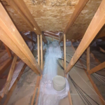 Removal and Replacement