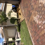 Sod, rocks ,and pavers