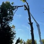 Removal in bucket