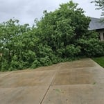 Storm 2025