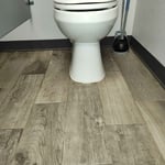 Cleaning Services