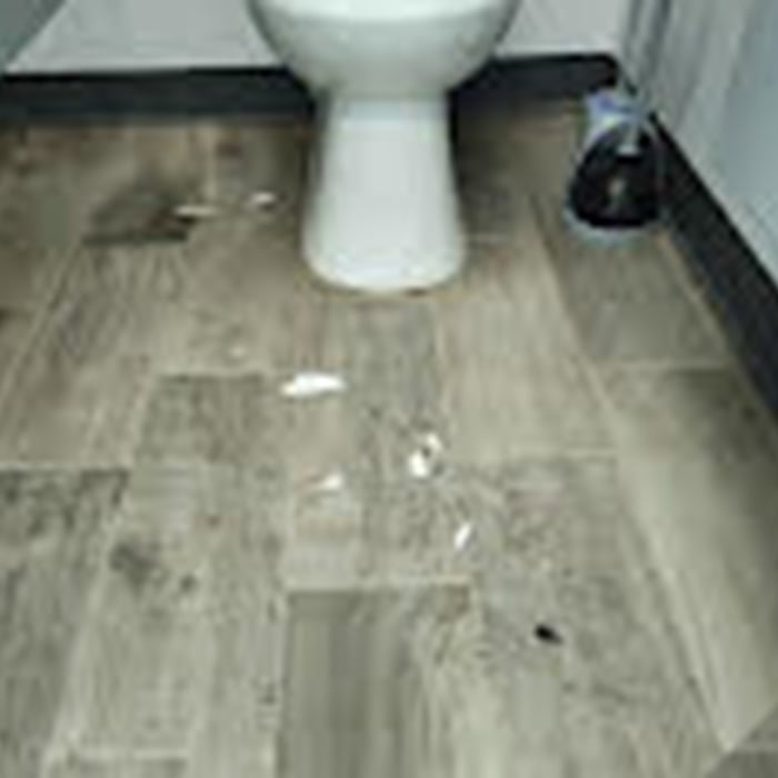 Cleaning Services