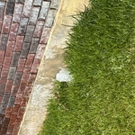 Irrigation