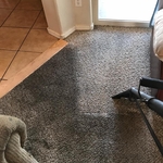Carpet Cleaning