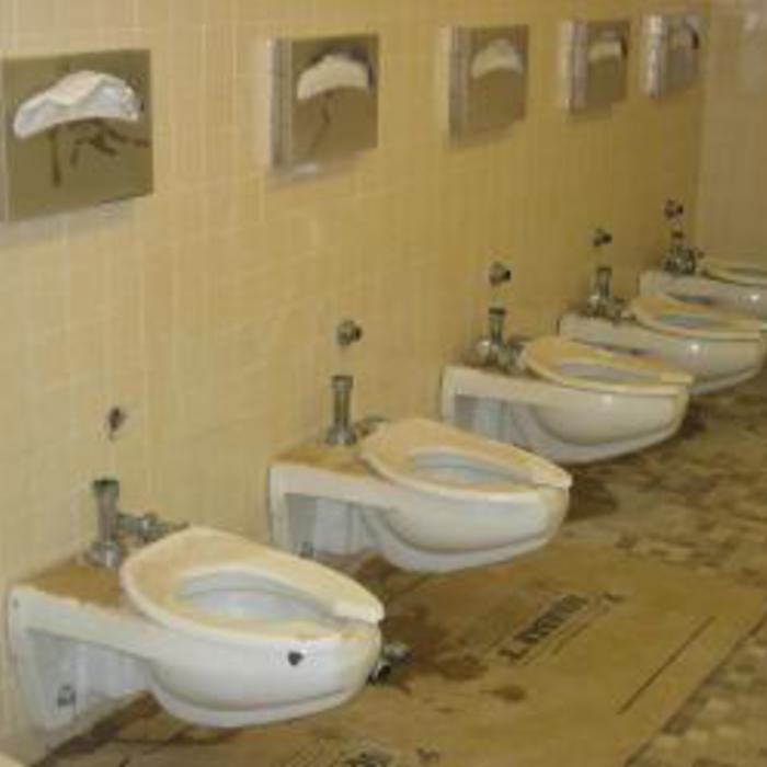 Kohler wall-mt toilets
