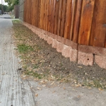 8' board on board cedar fence