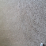 Carpet Cleaning