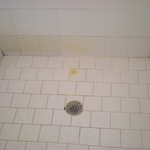 Before regrout in shower