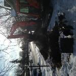 Sewer Repair
