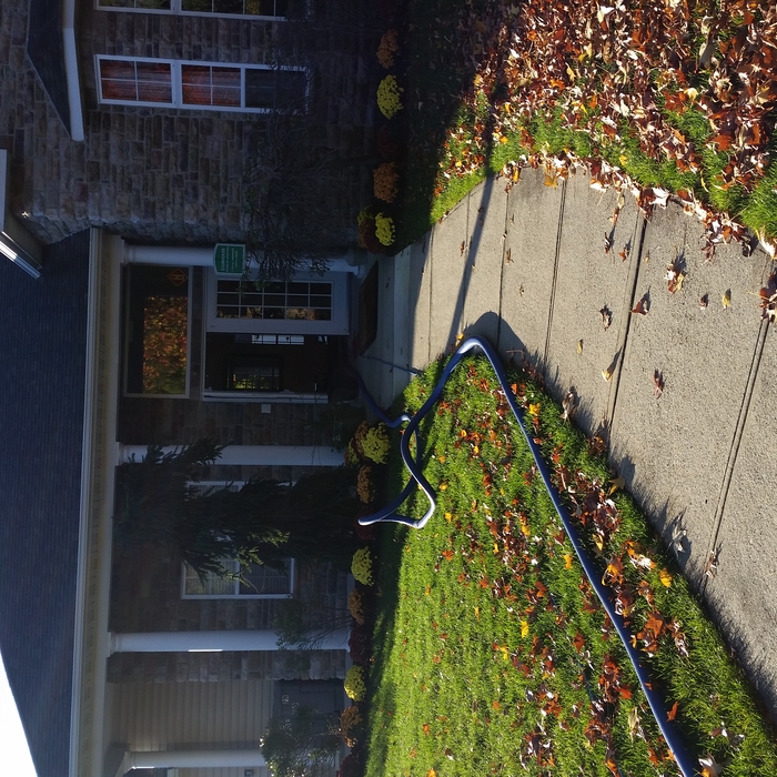 200' hose reach
