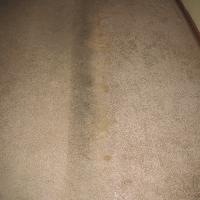 Bedroom carpet