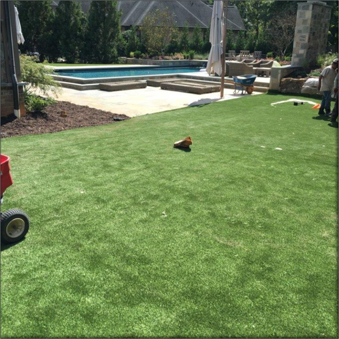 Pool Turf