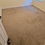 Carpet cleaning
