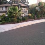 This landscape was a clean slate when we started,