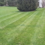 Lawn Care