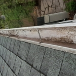 Gutter Cleanup