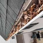 Gutter Cleanup
