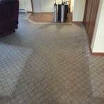 What's in your carpet?