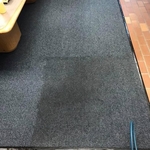 Even businesses need their carpets cared for