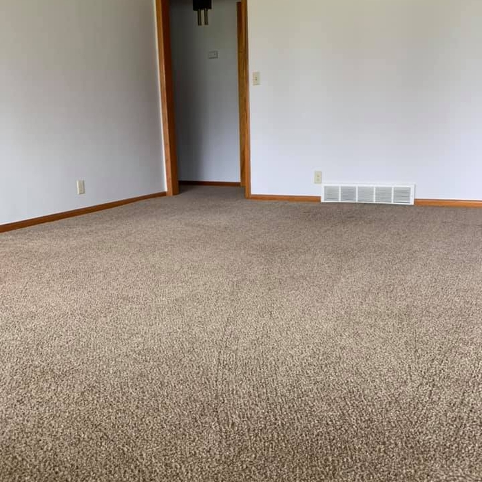 What's in your carpet?