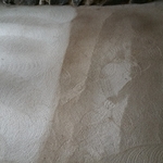 before and after carpet cleaning