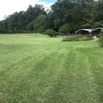 Mr. Wood's Lawn