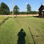 Cabin After 2