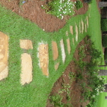 Untitled Gallery 1