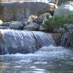 Back Yard Water Feature