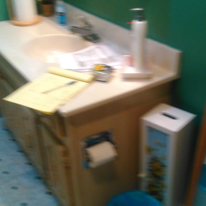 Bathroom Remodel (vanity)