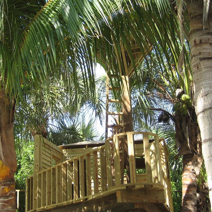 Beach House Tree House 5