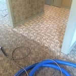 Carpet Cleaning