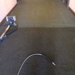 Carpet Cleaning