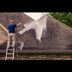 soft washing professional
