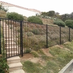 Fencing and Gate