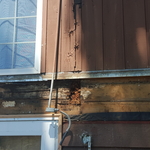 W.Salem Dry Rot