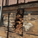 W.Salem Dry Rot