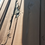W.Salem Dry Rot
