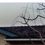 Wood shake roof before tear off