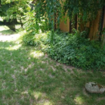 Mulch Project