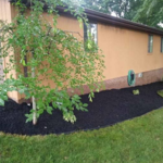 Mulch Project