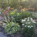 Informal Country garden