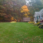 Mowing