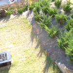 Over view before