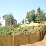 Custom privacy fence