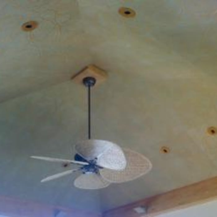 Bed ceiling