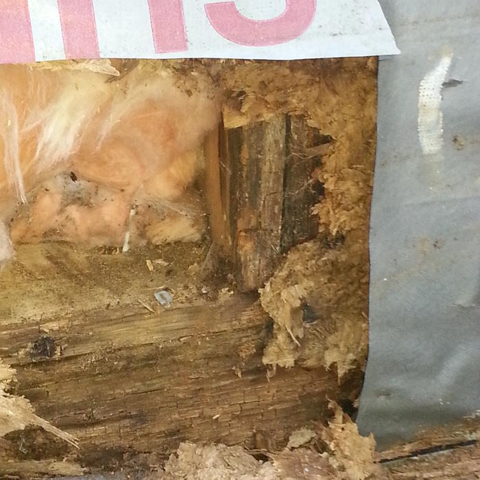 Rot inside wall