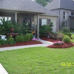 Front Yard Overview
