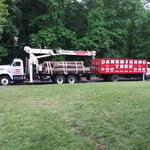 Trees Removal